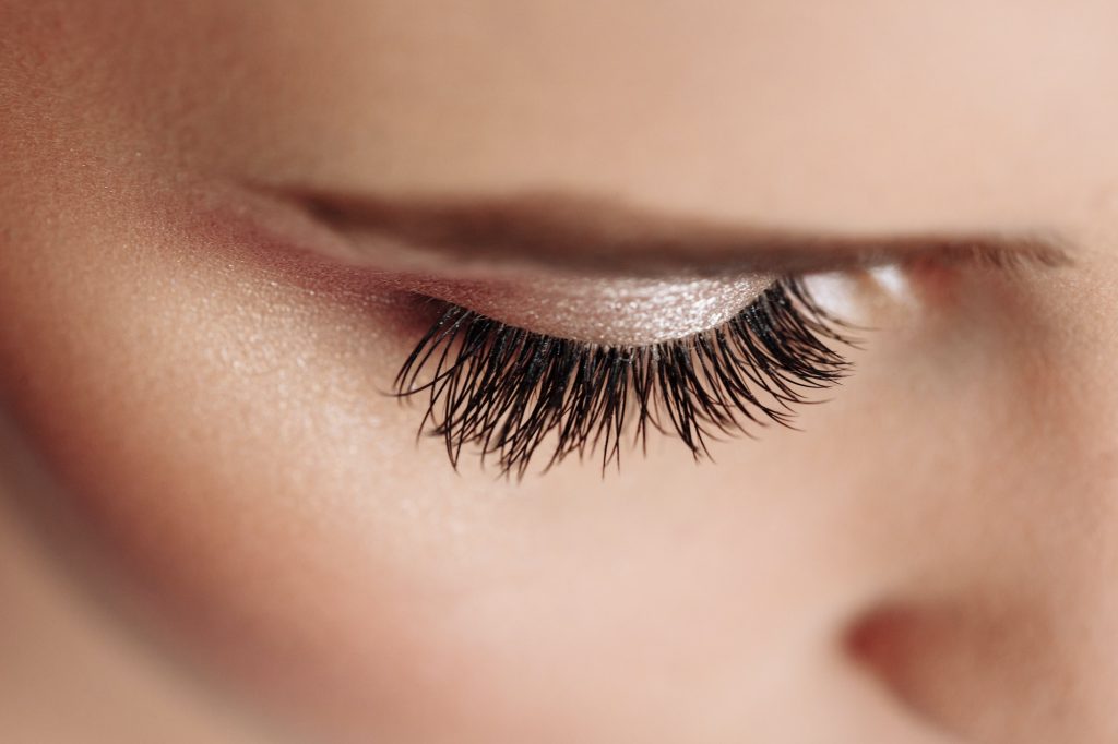Long Black Eyelashes. Closeup Of Beautiful Woman Eyebrow And Big Eye With Fake Lashes. Beauty